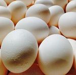 Eggs are rich in L-Lysine, an ingredient of GenF20.